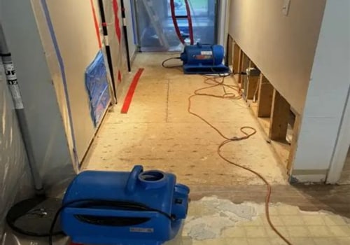 Why Water Damage Restoration Is Quietly Becoming Part of Long-Term Gallery Management in Miami FL